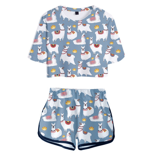 Cute Animal T-Shirt and Shorts Suit - D