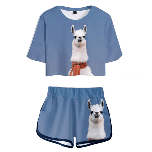 Cute Animal T-Shirt and Shorts Suit - I