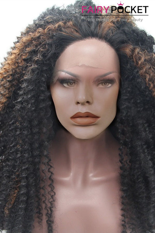 Nature Black and Brown Highlights Long Curly Lace Front Wig
