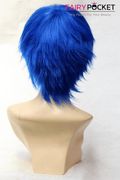 Fairy Tail Jellal Fernandes Anime Cosplay Wig