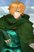 Fate/Grand Order Robin Hood Cosplay Wig
