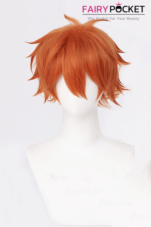 Paladin of the End William G Maryblood Cosplay Wig