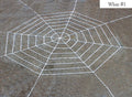 Spider and Spider Web