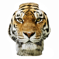 Tiger Animal Hoodie - U